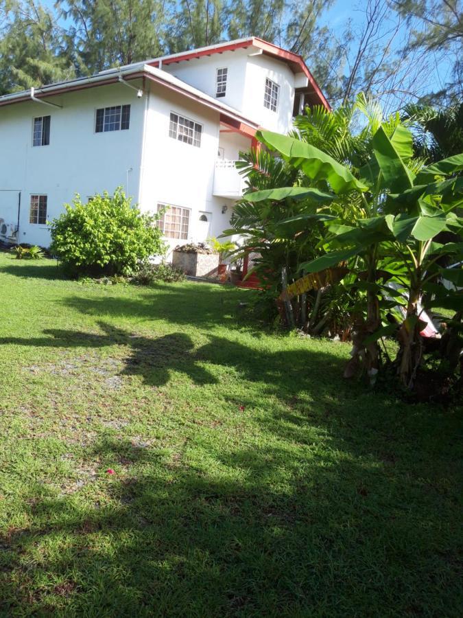 Tranquil Guest House Buccoo Ngoại thất bức ảnh