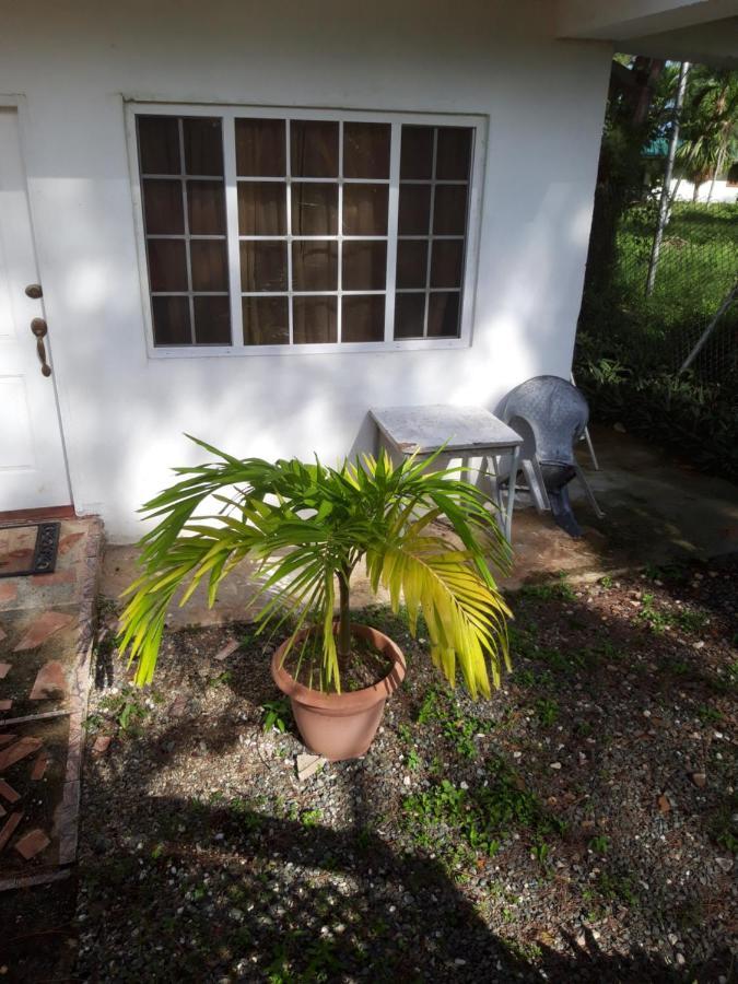 Tranquil Guest House Buccoo Ngoại thất bức ảnh